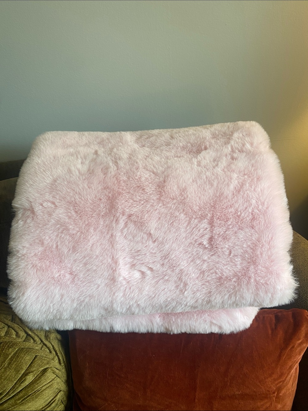 Plush Pink Baby Blanket
